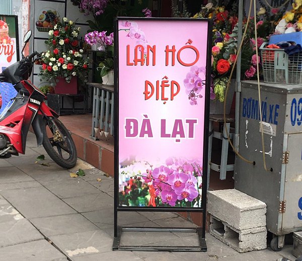 Mẫu bảng hiệu quảng cáo 2 mặt đứng